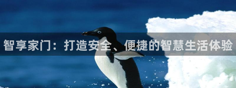 金诺利年会：智享家门：打造安全、便捷的智慧生活体验