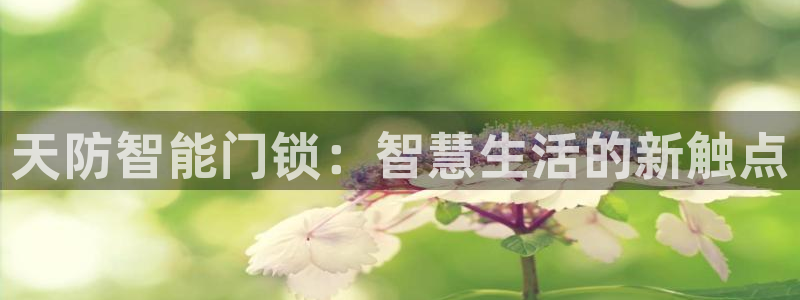 jinnianhui 金年会：天防智能门锁：智慧生活的新触点