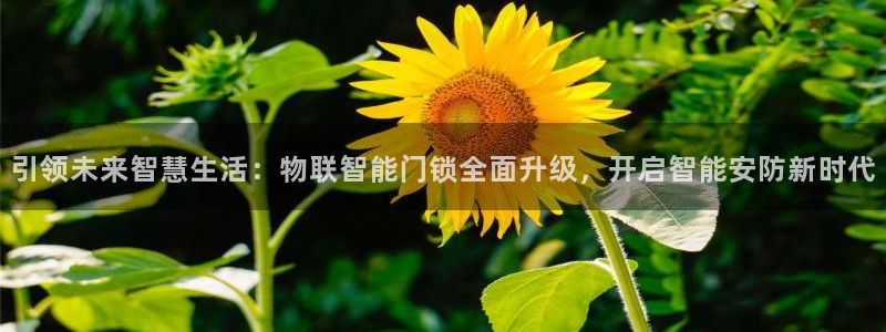 金年会平台：引领未来智慧生活：物联智能门锁全面升级，开启智能