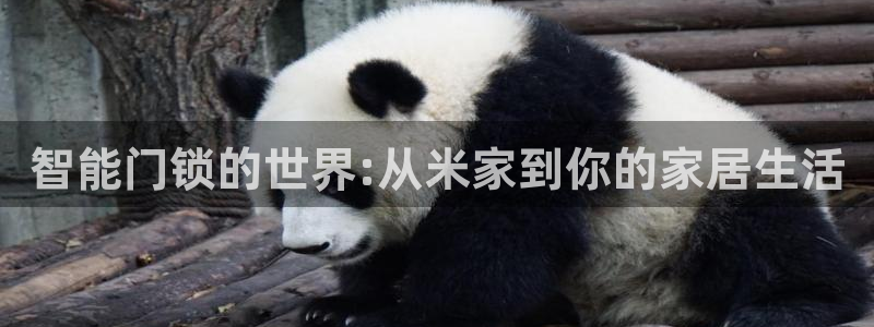 陆金所 年会：智能门锁的世界:从米家到你的家居生活