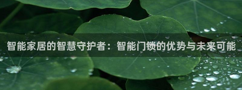 世纪金源年会：智能家居的智慧守护者：智能门锁的优势与未来可能