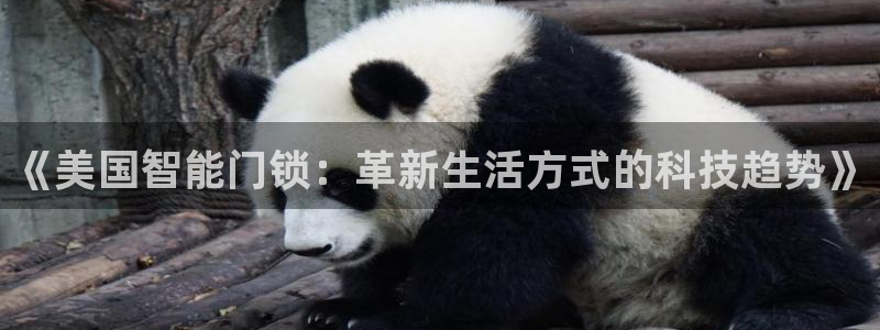 金升年会：《美国智能门锁：革新生活方式的科技趋势》