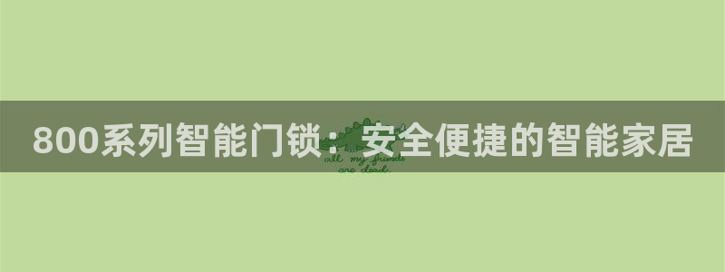 金年会登录：800系列智能门锁：安全便捷的智能家居