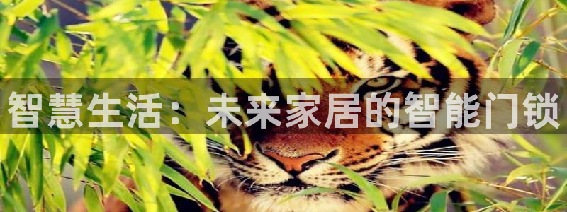 金哥年会：智慧生活：未来家居的智能门锁