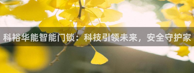 金年会手机网页版登录：科裕华能智能门锁：科技引领未来，安全守