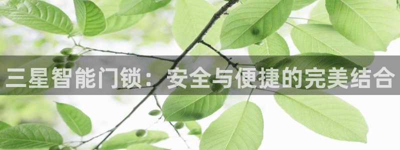 金年会拼音：三星智能门锁：安全与便捷的完美结合