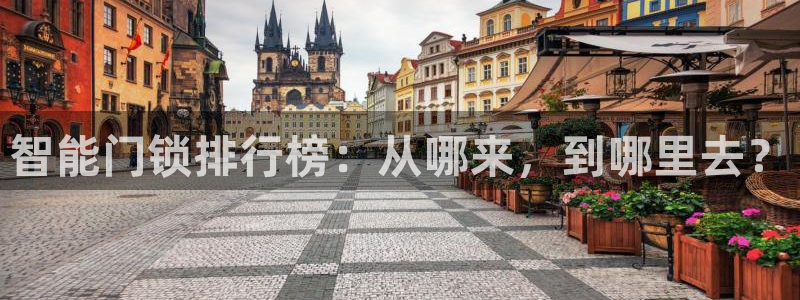 金年会官方体育登录入口：智能门锁排行榜：从哪来，到哪里去？