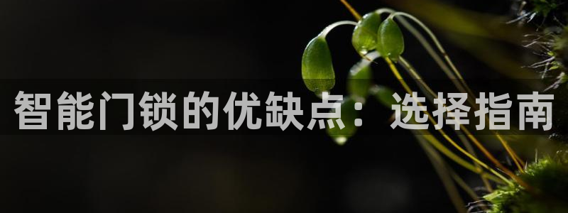 金年会体育下载：智能门锁的优缺点：选择指南