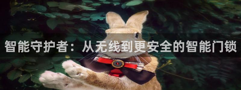 金年会官方网站登录：智能守护者：从无线到更安全的智能门锁