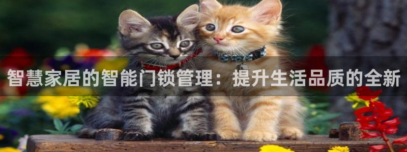 金帆年会2019：智慧家居的智能门锁管理：提升生活品质的全新